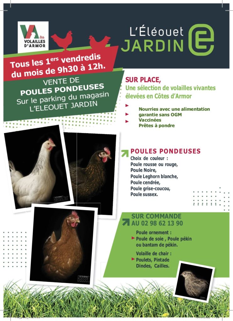 affiche poule tous les vendredis du mois