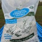 Coquilles d’huîtres